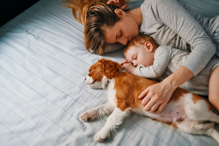 Steam Humidification in Chico, CA | All Around HVAC