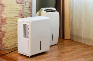 Maintain Ideal Humidity Levels With Whole House Dehumidifier